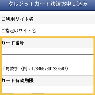 決済ページで、ぽちぽちとクレジットカード情報を入力。